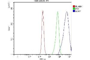 Flow Cytometry analysis of RT4 cells using anti-DOK7 antibody (ABIN6719428).