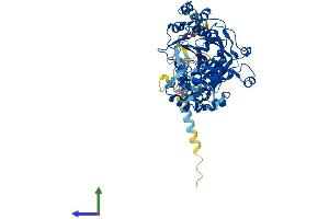 AlphaFold protein structure predicition of Mouse Recombinant Galnt14 Protein, UniprotID Q8BVG5