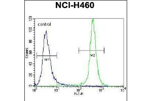 Flow cytometric analysis of NCI-H460 cells (right histogram) compared to a negative control cell (left histogram). (GABRA4 anticorps  (AA 333-361))