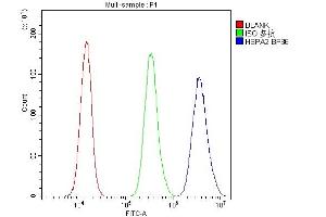 Flow Cytometry analysis of PC-3 cells using anti-HSPA2 antibody (ABIN3043850). (HSPA2 anticorps  (C-Term))