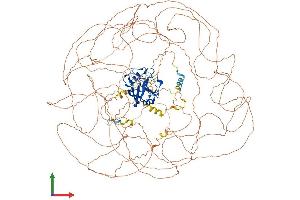 AlphaFold protein structure predicition of Mouse Recombinant Nktr Protein, UniprotID P30415