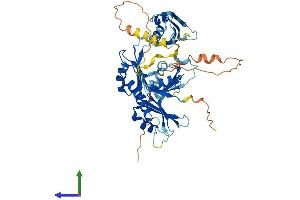 AlphaFold protein structure predicition of Human Recombinant RBM45 Protein, UniprotID Q8IUH3