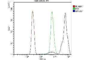 Flow Cytometry analysis of U937 cells using anti-B MyB/MYBL2 antibody (ABIN7601277).