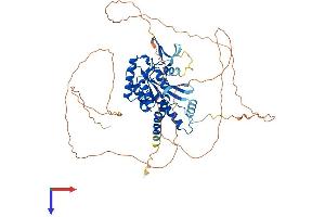 AlphaFold protein structure predicition of Human Recombinant SEPTIN9 Protein, UniprotID Q9UHD8