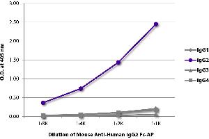 ELISA plate was coated with purified human IgG1, IgG2, IgG3, and IgG4. (Souris anti-Humain IgG2 (Fc Region) Anticorps (Alkaline Phosphatase (AP)))