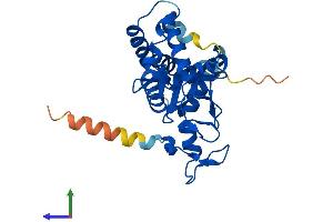 AlphaFold protein structure predicition of Human Recombinant NSMCE1 Protein, UniprotID Q8WV22