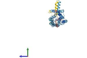 AlphaFold protein structure predicition of Human Recombinant S1PR4 Protein, UniprotID O95977