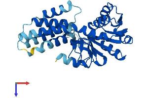 AlphaFold protein structure predicition of Mouse Recombinant Eif2b1 Protein, UniprotID Q99LC8