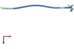 AlphaFold protein structure predicition of Mouse Recombinant Spc24 Protein, UniprotID Q9D083