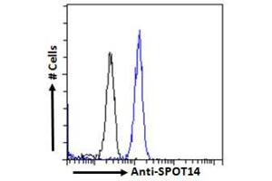 ABIN6391365 Flow cytometric analysis of paraformaldehyde fixed A431 cells (blue line), permeabilized with 0. (THRSP anticorps  (Internal Region))
