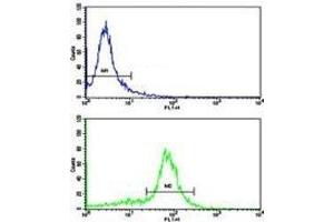 Flow cytometric analysis of WiDr cells using Cytokeratin-18 antibody (bottom histogram) compared to a negative control (top histogram).