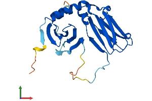 AlphaFold protein structure predicition of Human Recombinant DPCD Protein, UniprotID Q9BVM2