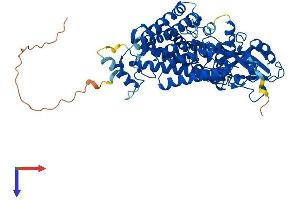 AlphaFold protein structure predicition of Mouse Recombinant Lmf1 Protein, UniprotID Q3U3R4