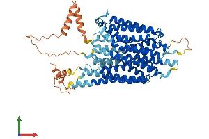 AlphaFold protein structure predicition of Mouse Recombinant Slc43a1 Protein, UniprotID Q8BSM7