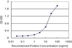 Sandwich ELISA detection sensitivity ranging from 0. (CALCOCO2 (Humain) Matched Antibody Pair)