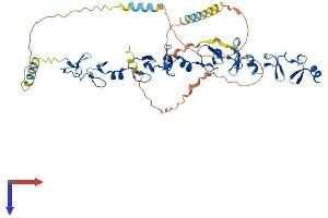AlphaFold protein structure predicition of Human Recombinant TGFB1I1 Protein, UniprotID O43294