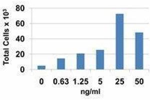 ELISA image for Pro-Platelet Basic Protein (Chemokine (C-X-C Motif) Ligand 7) (PPBP) (AA 48-109) (Active) protein (ABIN2666927)