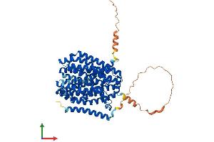AlphaFold protein structure predicition of Mouse Recombinant Slc47a1 Protein, UniprotID Q8K0H1