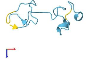 AlphaFold protein structure predicition of Human Recombinant MT1B Protein, UniprotID P07438