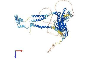 AlphaFold protein structure predicition of Mouse Recombinant Sec63 Protein, UniprotID Q8VHE0
