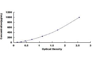 Caveolin 1, Caveolae Protein, 22kDa (CAV1) ELISA Kit
