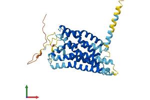 AlphaFold protein structure predicition of Human Recombinant P2RY10 Protein, UniprotID O00398
