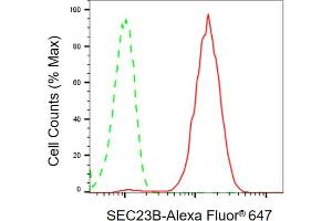 Flow cytometric analysis of SEC23B expression in C2C12 cells using SEC23B antibody (ABIN7800280), 1:2,000). (Sec23 Homolog B anticorps)