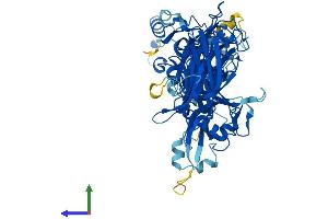 AlphaFold protein structure predicition of Human Recombinant CAPN6 Protein, UniprotID Q9Y6Q1