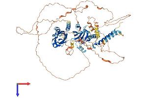 AlphaFold protein structure predicition of Mouse Recombinant Npas4 Protein, UniprotID Q8BGD7