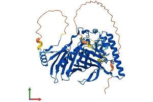 AlphaFold protein structure predicition of Human Recombinant OSBPL2 Protein, UniprotID Q9H1P3