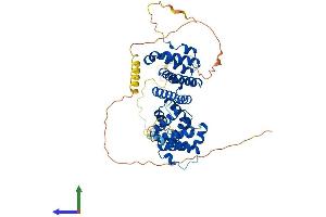 AlphaFold protein structure predicition of Human Recombinant PDCD4 Protein, UniprotID Q53EL6
