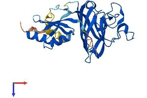 AlphaFold protein structure predicition of Human Recombinant CCS Protein, UniprotID O14618