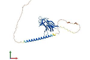 AlphaFold protein structure predicition of Human Recombinant TNFSF13B Protein, UniprotID Q9Y275