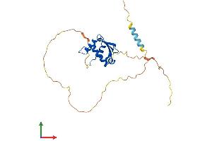 AlphaFold protein structure predicition of Mouse Recombinant Spic Protein, UniprotID Q6P3D7