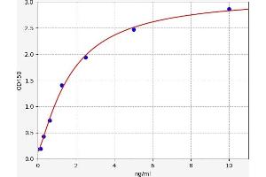 Typical standard curve (IFITM2 Kit ELISA)