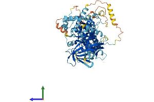 AlphaFold protein structure predicition of Human Recombinant FERMT1 Protein, UniprotID Q9BQL6