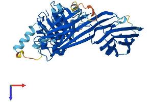 AlphaFold protein structure predicition of Human Recombinant AP2M1 Protein, UniprotID Q96CW1