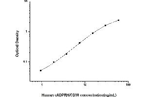 CD38 ELISA Kit