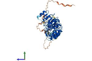 AlphaFold protein structure predicition of Mouse Recombinant Skp2 Protein, UniprotID Q9Z0Z3