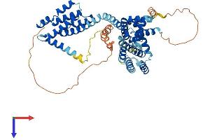 AlphaFold protein structure predicition of Human Recombinant TCP11 Protein, UniprotID Q8WWU5