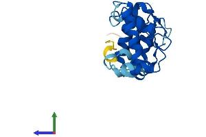 AlphaFold protein structure predicition of Mouse Recombinant Cib2 Protein, UniprotID Q9Z309