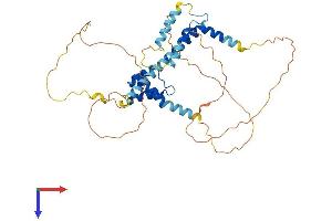 AlphaFold protein structure predicition of Mouse Recombinant Meis1 Protein, UniprotID Q60954