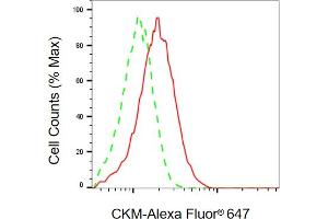 Flow cytometric analysis of CKM expression in HeLa cells using CKM antibody (ABIN7798164), 1:2,000).