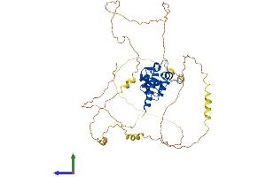 AlphaFold protein structure predicition of Human Recombinant SMAP1 Protein, UniprotID Q8IYB5