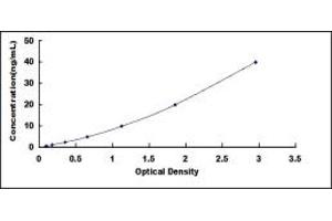 Typical standard curve (N6AMT1 Kit ELISA)
