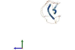 AlphaFold protein structure predicition of Mouse Recombinant Krt6a Protein, UniprotID P50446