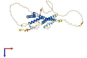 AlphaFold protein structure predicition of Human Recombinant SUPT7L Protein, UniprotID O94864