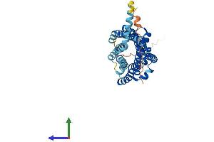 AlphaFold protein structure predicition of Human Recombinant CCR1 Protein, UniprotID P32246
