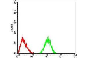 Flow cytometric analysis of SK-N-SH cells using CHRNA6 mouse mAb (green) and negative control (red).