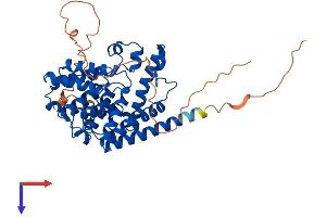 AlphaFold protein structure predicition of Mouse Recombinant Pde7b Protein, UniprotID Q9QXQ1